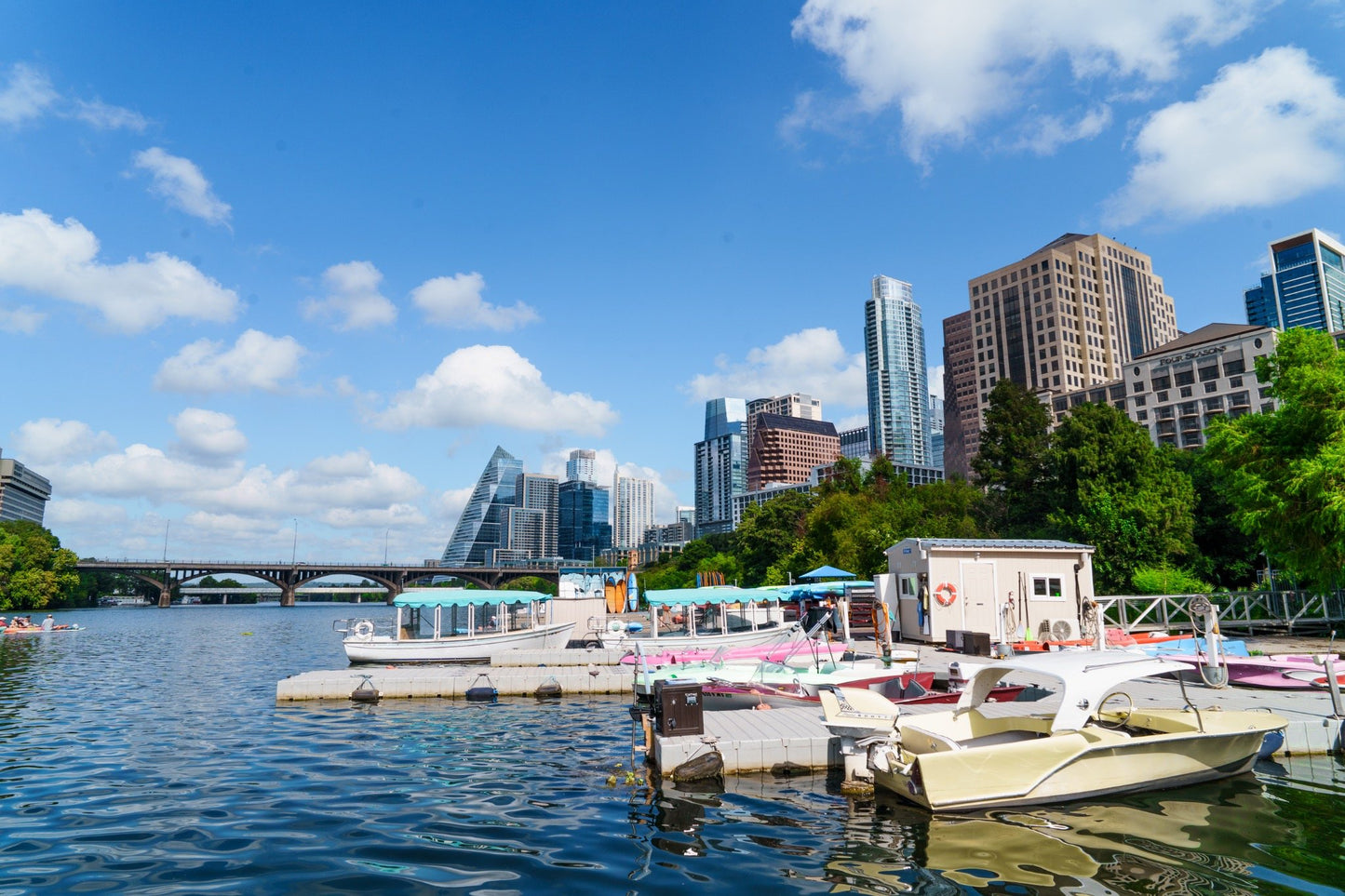 Lady Bird Reflections